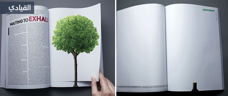Уничтожение лесов (Deforestation)