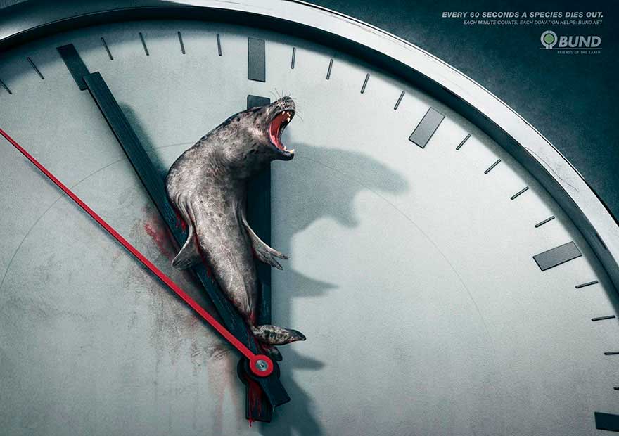 . Каждые 60 секунд вымирает один вид (Every 60 seconds a species dies out)