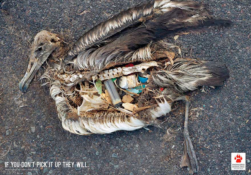 . Если вы этого не поднимите, это сделают они (If you don`t pick it up they will)